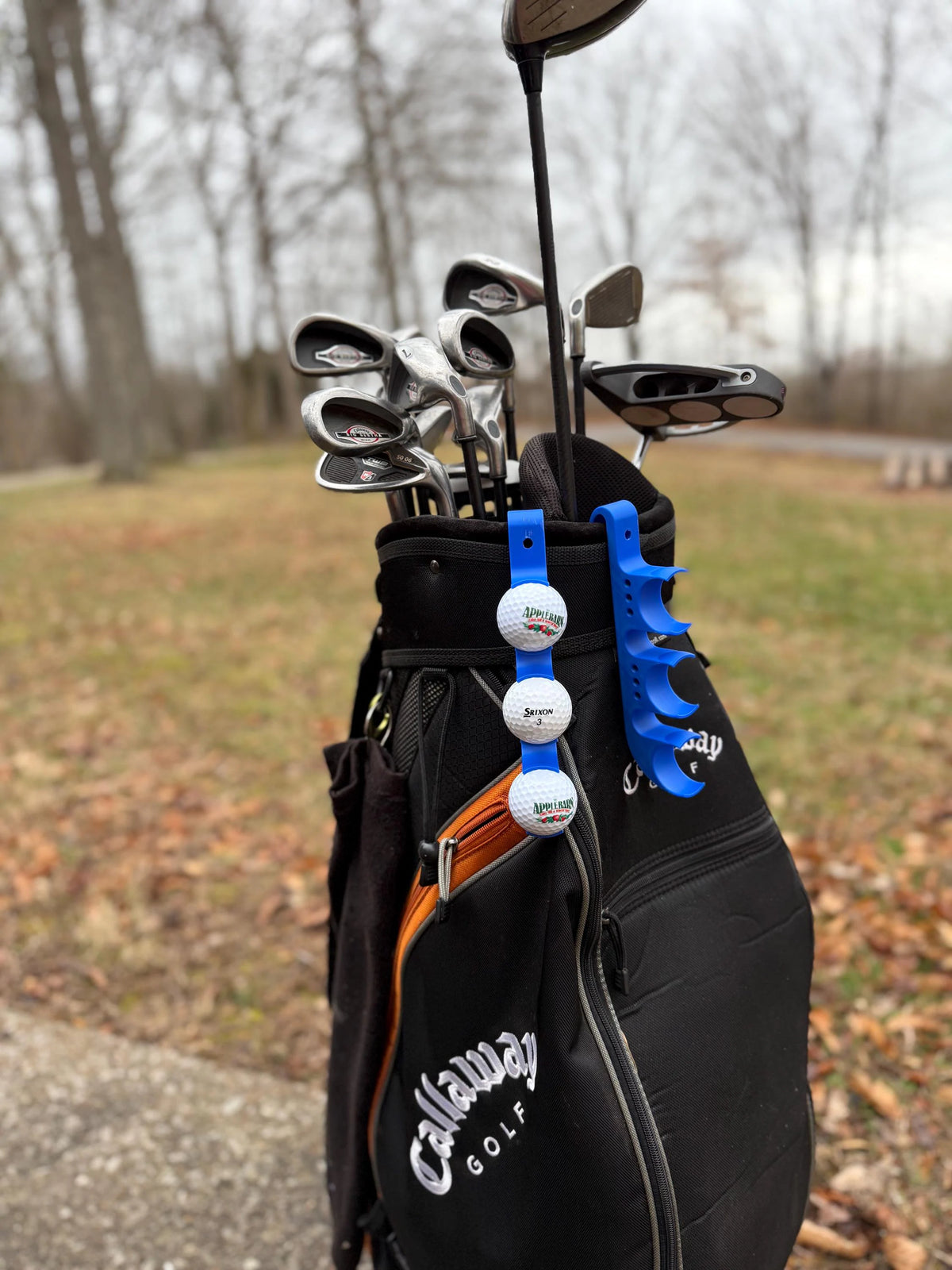 Golf Ball/Tee Holder