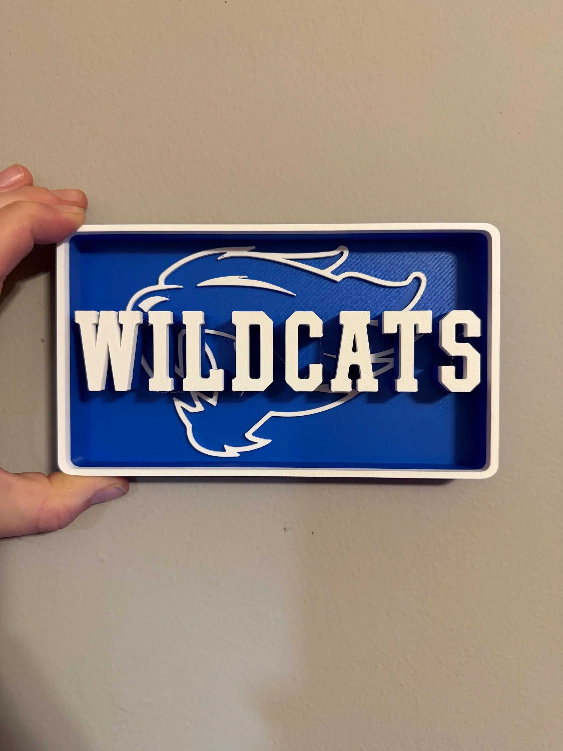 Custom Sports Signs